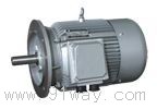 Y3EJ系列電磁制動(dòng)電動(dòng)機(jī)