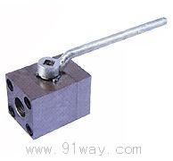 Q11N߉(ni)ݼyy