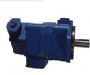 V2020ϵиp(lin)~Ƭ