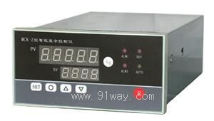 DZ-1型多路循環(huán)檢測(cè)數(shù)顯控制儀