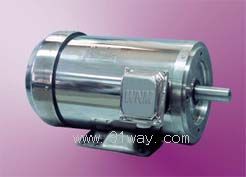 NS系列不銹鋼三相異步電動(dòng)機(jī)