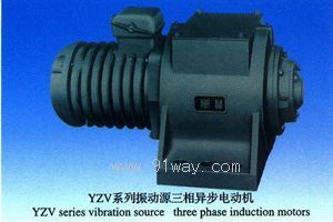 YZV系列振動(dòng)源三相異步電動(dòng)機(jī)