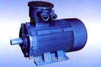YBD2系列隔爆型變極多速三相異步電動(dòng)機(jī)