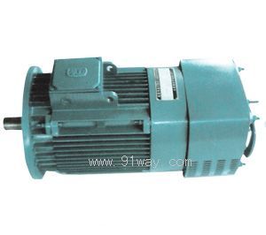 YZZ系列施工升降機(jī)用三相異步電動(dòng)機(jī)