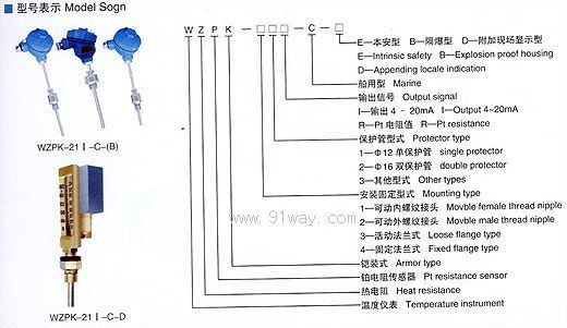 WZPK型船用溫度傳感器