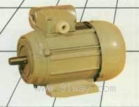 DO2系列單相電容起動(dòng)異步電動(dòng)機(jī)