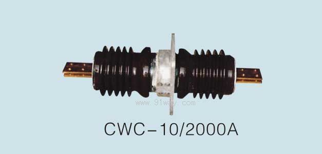 CWC-10/2000Aʹ׹
