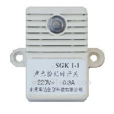 SGKI-1ӕr_P