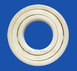 PTFE,PVDF耐腐蝕塑料軸承