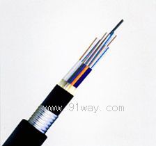 GYTA53pzpo(h)ֱ|