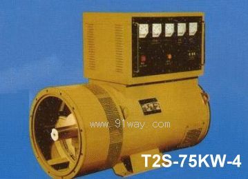 T2S-75KW-4ͬl(f)늙C(j)