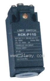 XCK-P110г_(ki)P(gun)