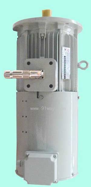 FBYS系列變槳電動機(jī)