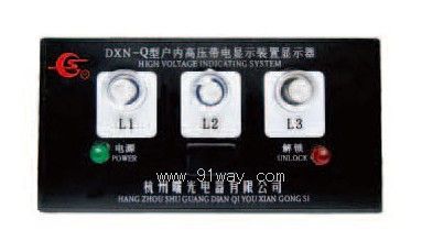 DXN3-III帶電顯示器