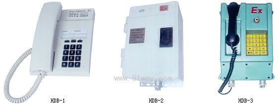 HDB-1(2,3)ͷԒC(j)(IIc)