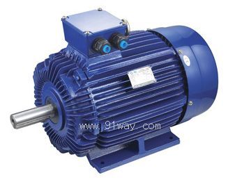 FXP系列變頻調(diào)速三相異步電動(dòng)機(jī)