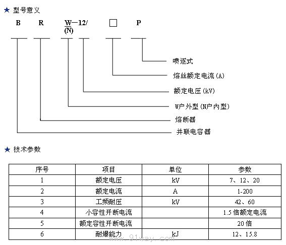 BR2 BR1 BRW BRN BRW2 BR RN RNY1 RNG RW型高壓電容器專用熔斷器型號說明及技術參數(shù)