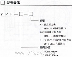 YPF系列膜片壓力表型號(hào)說明