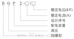BGP2系列礦用隔爆型高壓真空配電裝置型號(hào)說明