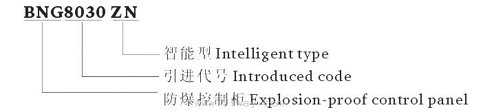 BNG8030-ZN系列防爆防水智能控制柜(ⅡB P)型號(hào)說明