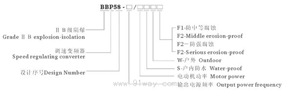 BBP58系列防爆電動機調(diào)速變頻器系統(tǒng)(ⅡB)型號說明