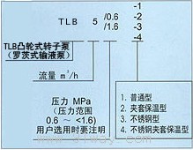 TLB系列凸輪式轉(zhuǎn)子泵(羅茨式輸液泵)型號說明