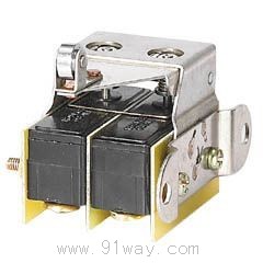2ZAAZ-10L(_(ki)P(gun))λ_(ki)P(gun)