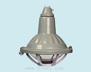 FD52ۉm