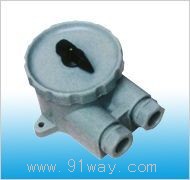 ZN10-11ʹ_(ki)P(gun)