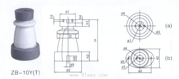 ZB-10Y(T)高壓支柱絕緣子